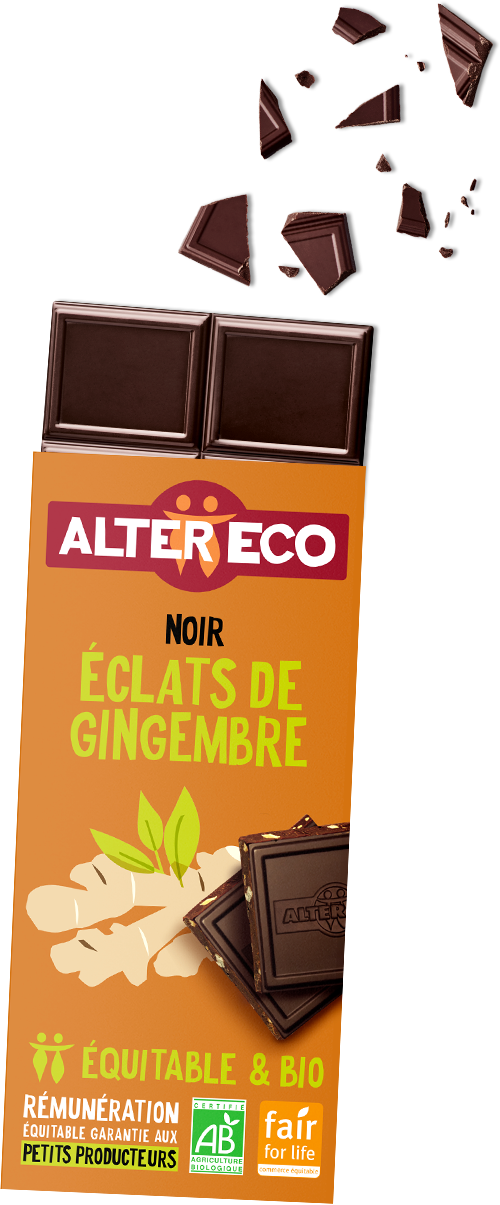 chocolat-noir-gingembre-1