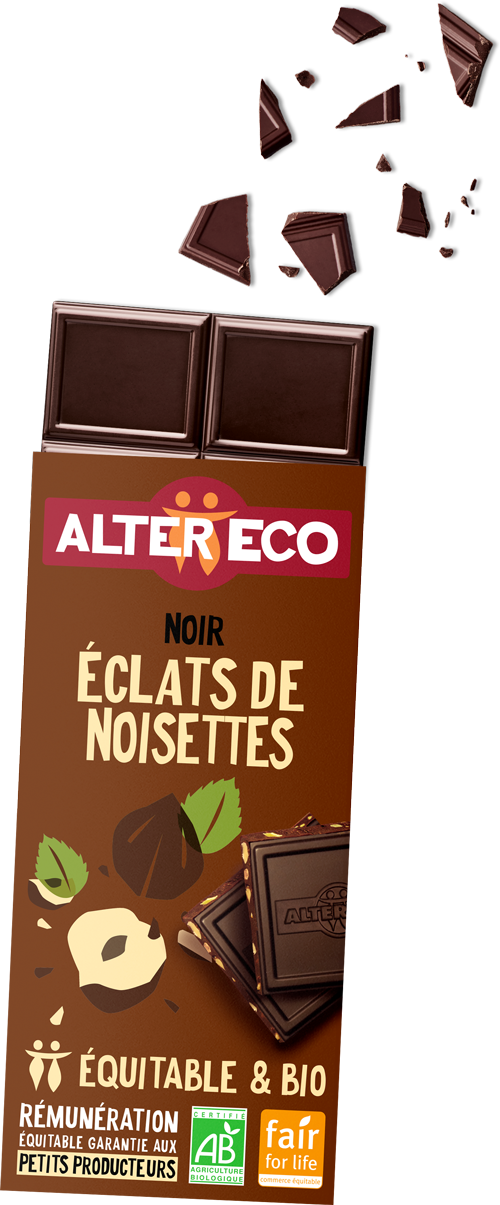chocolat-noir-eclats-noisettes-1
